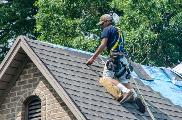 Best Roof Leak Repair  in Rhinelander, WI